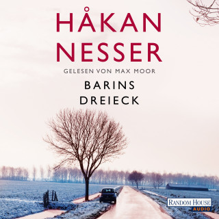 Håkan Nesser: Barins Dreieck