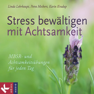 Linda Lehrhaupt, Petra Meibert, Karin Krudup: Stress bewältigen mit Achtsamkeit