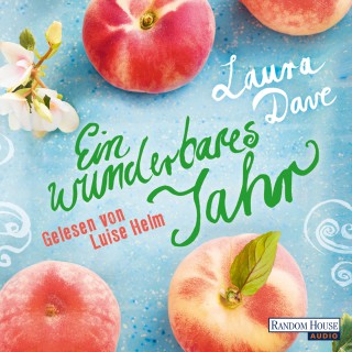 Laura Dave: Ein wunderbares Jahr