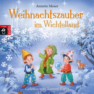 Annette Moser: Weihnachtszauber im Wichtelland