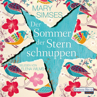Mary Simses: Der Sommer der Sternschnuppen