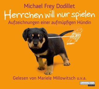 Michael Frey Dodillet: Herrchen will nur spielen
