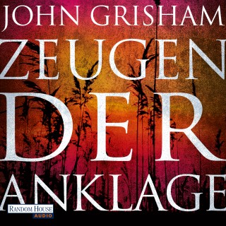 John Grisham: Zeugen der Anklage