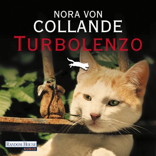 Nora von Collande: Turbolenzo