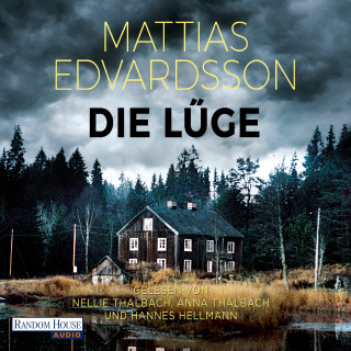 Mattias Edvardsson: Die Lüge