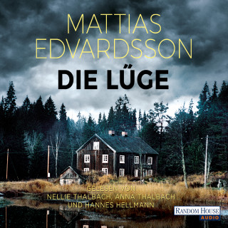 Mattias Edvardsson: Die Lüge