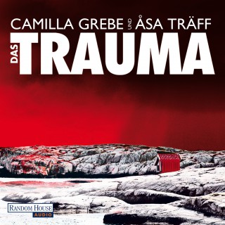 Camilla Grebe, Åsa Träff: Das Trauma