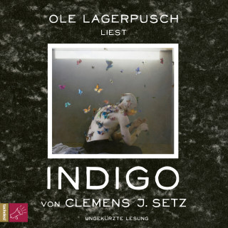 Clemens J. Setz: Indigo (Ungekürzt)