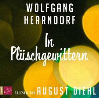 Wolfgang Herrndorf: In Plüschgewittern