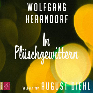 Wolfgang Herrndorf: In Plüschgewittern