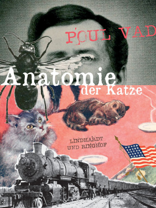 Poul Vad: Anatomie der Katze
