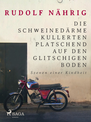 Rudolf Nährig: Die Schweinedärme kullerten platschend auf den glitschigen Boden