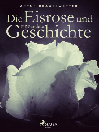Artur Brausewetter: Die Eisrose und andere Geschichte