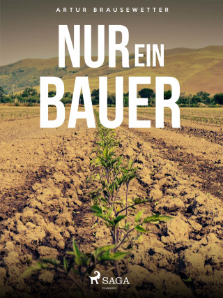 Artur Brausewetter: Nur ein Bauer