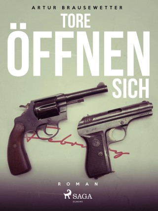 Artur Brausewetter: Tore öffnen sich