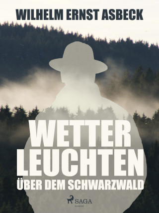 Wilhelm Ernst Asbeck: Wetterleuchten über dem Schwarzwald