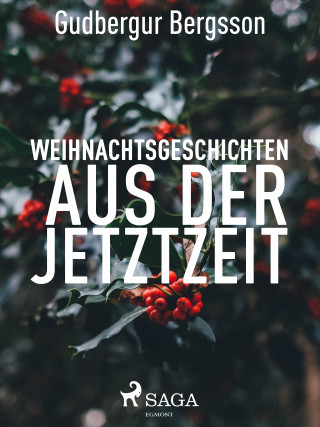 Gudbergur Bergsson: Weihnachtsgeschichten aus der Jetztzeit