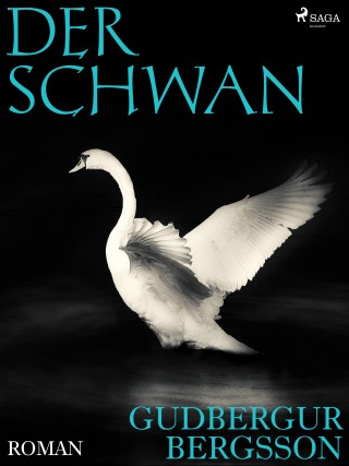 Gudbergur Bergsson: Der Schwan