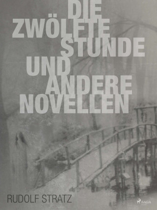 Rudolf Stratz: Die zwölfte Stunde und andere Novellen