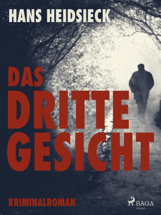 Hans Heidsieck: Das dritte Gesicht