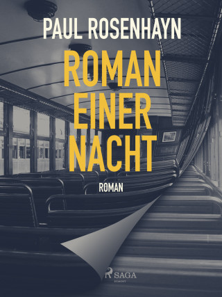 Paul Rosenhayn: Roman einer Nacht