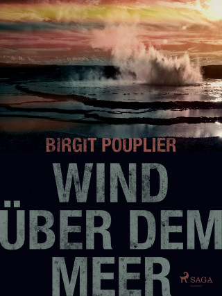 Birgit Pouplier: Wind über dem Meer