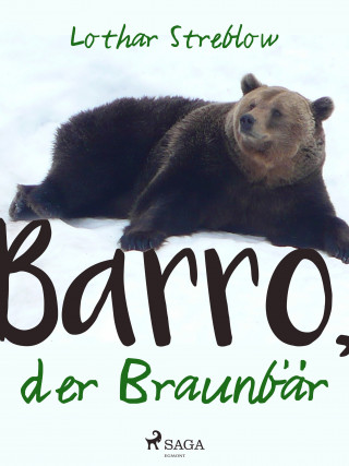Lothar Streblow: Barro, der Braunbär