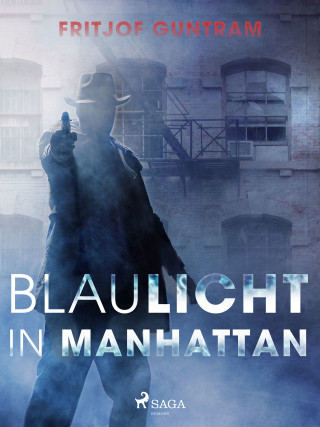 Fritjof Guntram: Blaulicht in Manhattan