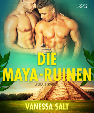 Vanessa Salt: Die Maya-Ruinen: Erotische Novelle