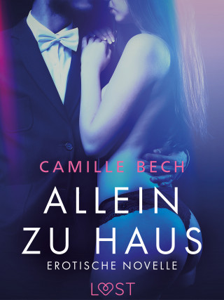 Camille Bech: Allein zu Haus - Erotische Novelle