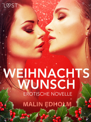 Malin Edholm: Weihnachtswunsch: Erotische Novelle