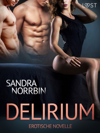 Sandra Norrbin: Delirium: Erotische Novelle