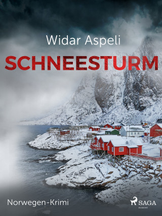 Widar Aspeli: Schneesturm - Norwegen-Krimi