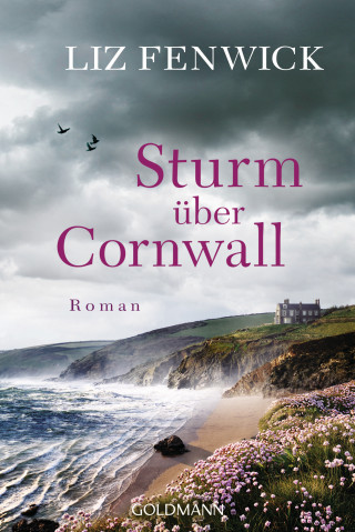 Liz Fenwick: Sturm über Cornwall
