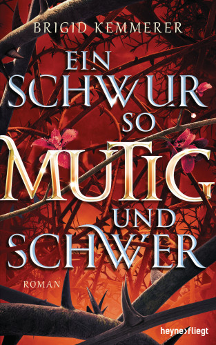 Brigid Kemmerer: Ein Schwur so mutig und schwer