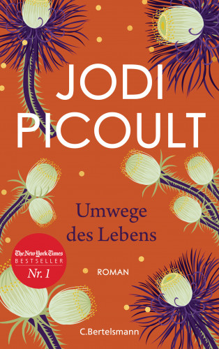 Jodi Picoult: Umwege des Lebens