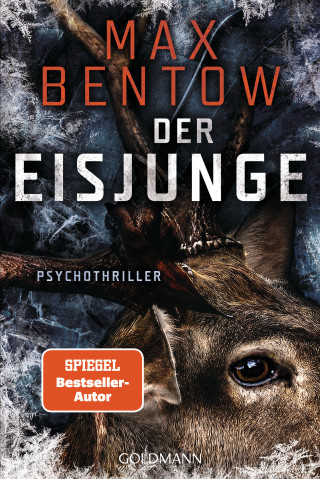 Max Bentow: Der Eisjunge