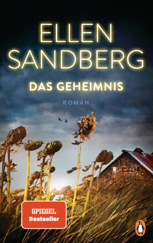 Ellen Sandberg: Das Geheimnis