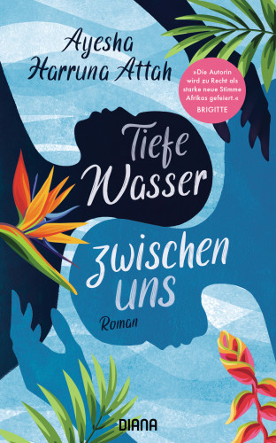 Ayesha Harruna Attah: Tiefe Wasser zwischen uns