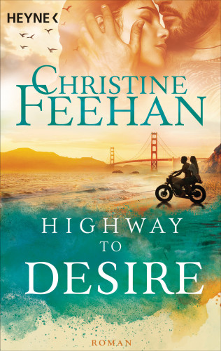 Christine Feehan: Highway to Desire