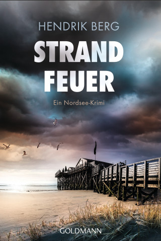 Hendrik Berg: Strandfeuer