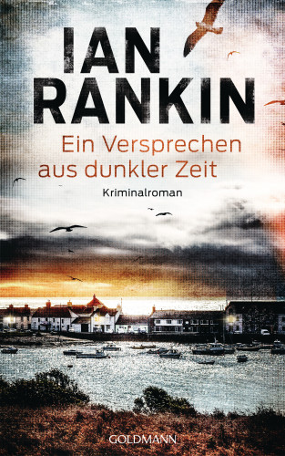 Ian Rankin: Ein Versprechen aus dunkler Zeit