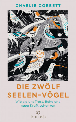 Charlie Corbett: Die zwölf Seelen-Vögel