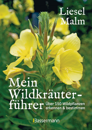 Liesel Malm: Mein Wildkräuterführer. Über 150 Wildpflanzen sammeln, erkennen & bestimmen.