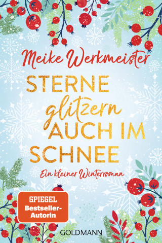 Meike Werkmeister: Sterne glitzern auch im Schnee