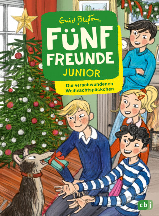 Enid Blyton: Fünf Freunde JUNIOR - Die verschwundenen Weihnachtspäckchen