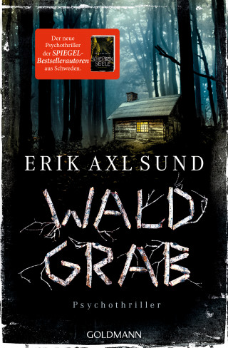 Erik Axl Sund: Waldgrab