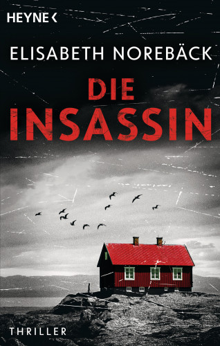 Elisabeth Norebäck: Die Insassin