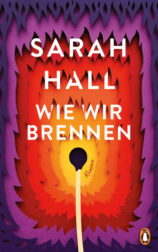 Sarah Hall: Wie wir brennen