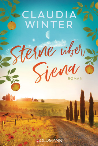 Claudia Winter: Sterne über Siena